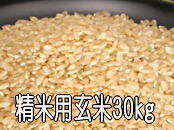 栗の里米　精米用玄米　３０kg　11,500円