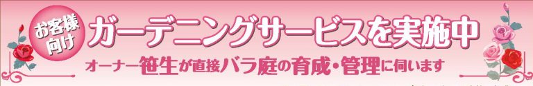 お客様向けガーデンサービスを実施中　オーナー笹生が直接バラ庭の育成・管理に伺います