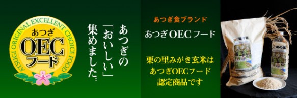 info_OEC