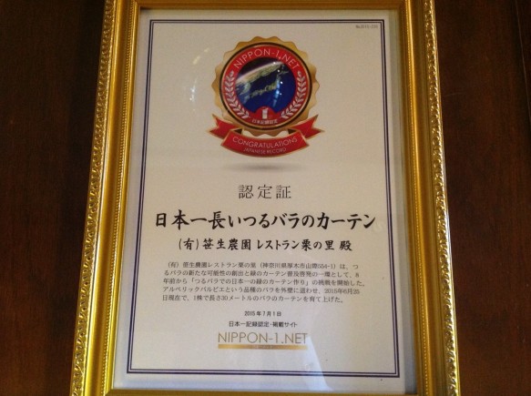 日本一の認定書です♪ 今後も、「日本一長いつるバラのカーテン」を軸に、地域振興に励んでいきます♪