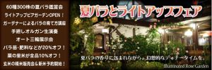 夏バラとライトアップフェア