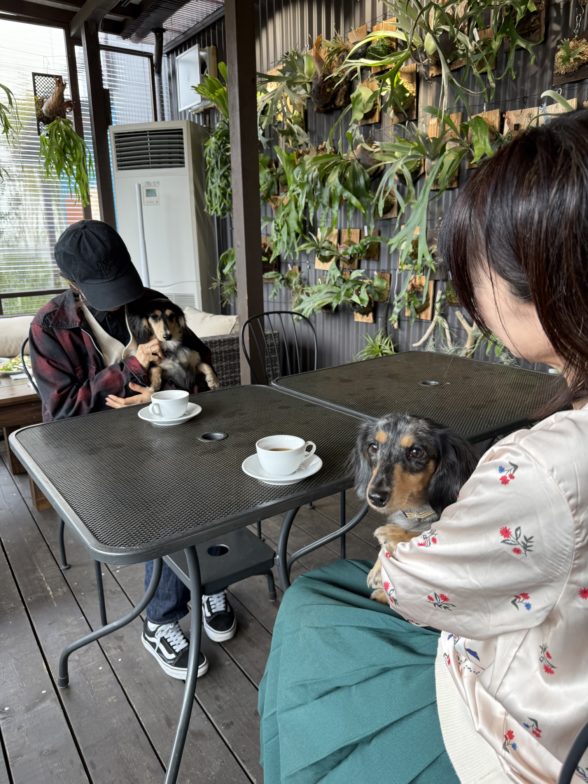 あったかテラス席